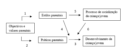 Figura 1: Modelo Integrativo de Darling e Steinberg (1993)