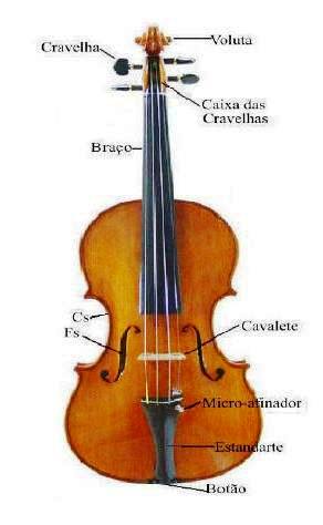 6. O violino e suas partes